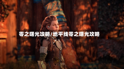 零之曙光攻略/地平线零之曙光攻略-第2张图片