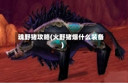 魂野猪攻略(火野猪爆什么装备)-第1张图片