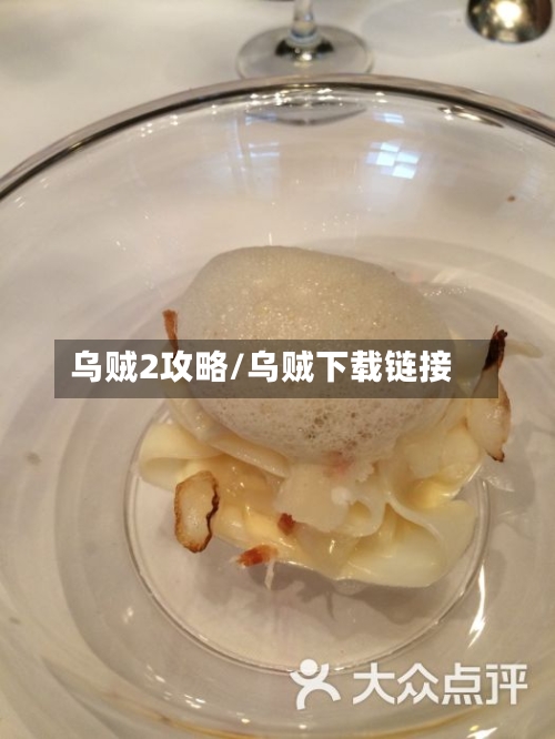 乌贼2攻略/乌贼下载链接-第1张图片