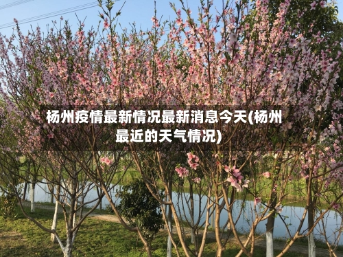 杨州疫情最新情况最新消息今天(杨州最近的天气情况)-第2张图片