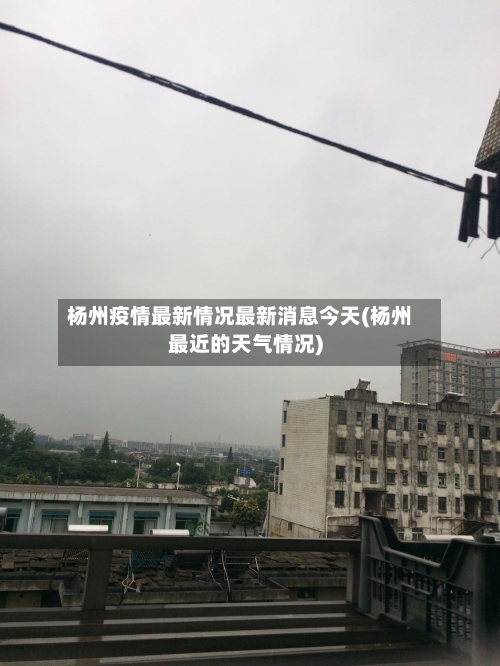 杨州疫情最新情况最新消息今天(杨州最近的天气情况)