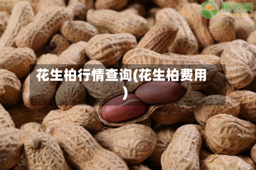花生柏行情查询(花生柏费用)-第1张图片