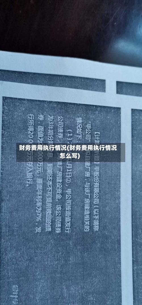财务费用执行情况(财务费用执行情况怎么写)-第1张图片