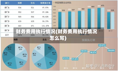 财务费用执行情况(财务费用执行情况怎么写)-第3张图片