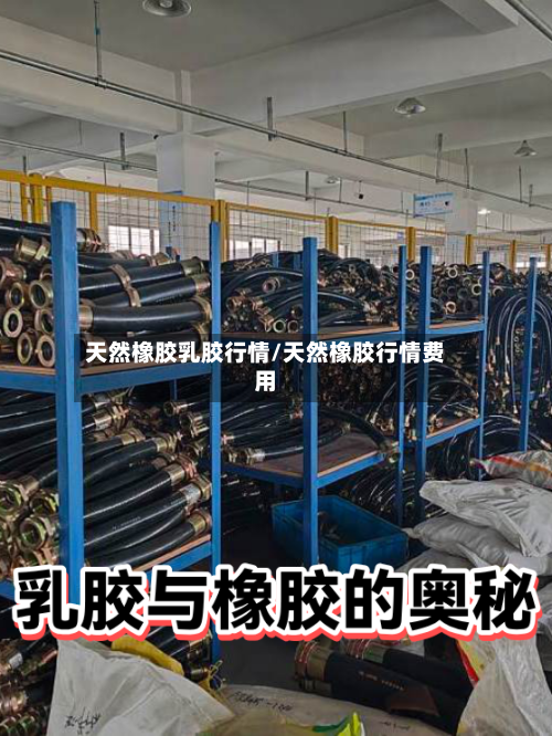 天然橡胶乳胶行情/天然橡胶行情费用