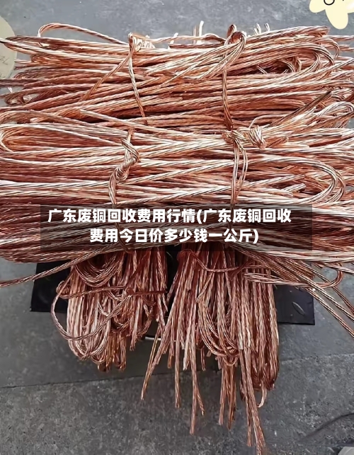广东废铜回收费用行情(广东废铜回收费用今日价多少钱一公斤)-第2张图片