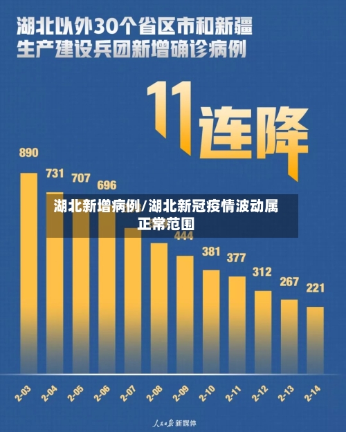 湖北新增病例/湖北新冠疫情波动属正常范围-第2张图片