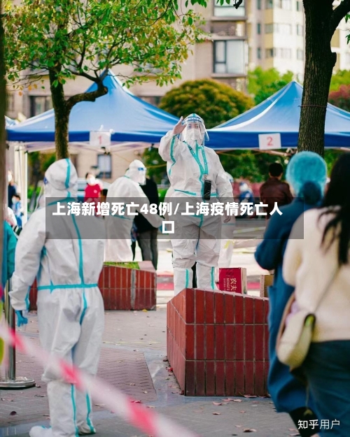 上海新增死亡48例/上海疫情死亡人口