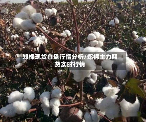 郑棉现货白盘行情分析/郑棉主力期货实时行情-第2张图片