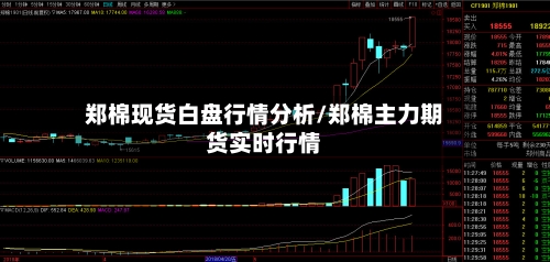 郑棉现货白盘行情分析/郑棉主力期货实时行情