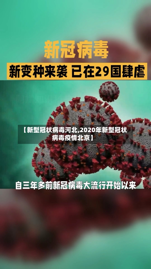 【新型冠状病毒河北,2020年新型冠状病毒疫情北京】-第3张图片