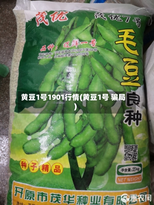 黄豆1号1901行情(黄豆1号 骗局)