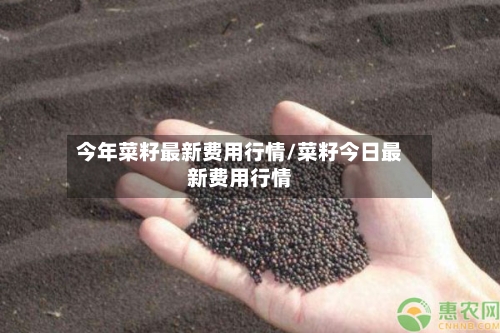 今年菜籽最新费用行情/菜籽今日最新费用行情