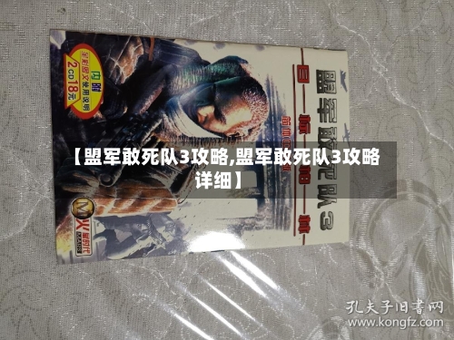【盟军敢死队3攻略,盟军敢死队3攻略详细】-第3张图片