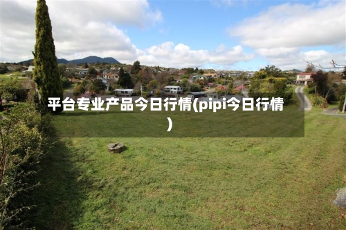 平台专业产品今日行情(pipi今日行情)