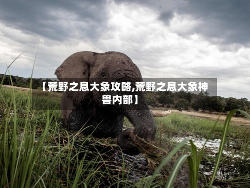 【荒野之息大象攻略,荒野之息大象神兽内部】
