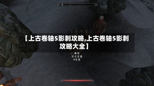 【上古卷轴5影刺攻略,上古卷轴5影刺攻略大全】-第2张图片
