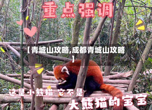 【青城山攻略,成都青城山攻略】-第1张图片