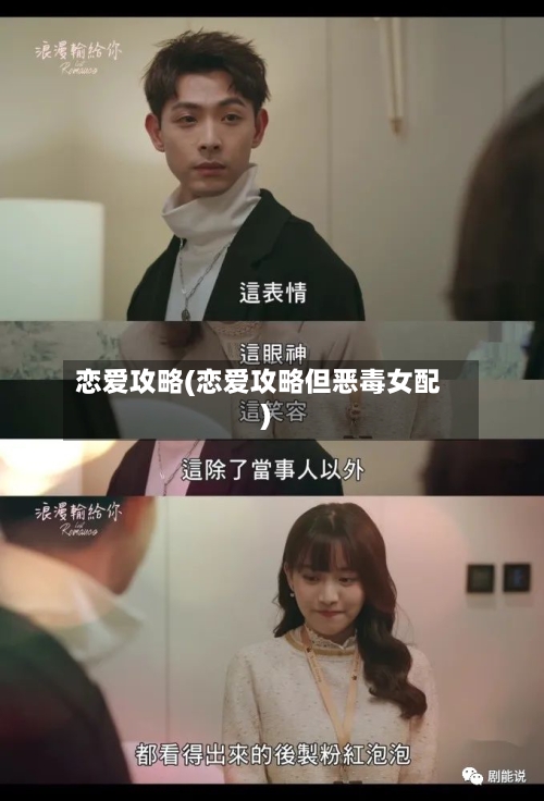 恋爱攻略(恋爱攻略但恶毒女配)-第3张图片