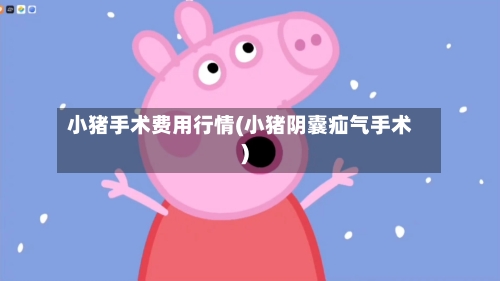 小猪手术费用行情(小猪阴囊疝气手术)-第3张图片