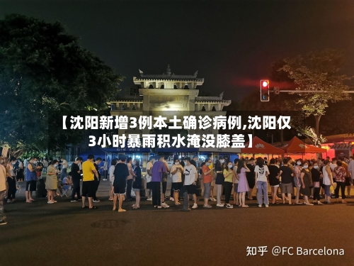 【沈阳新增3例本土确诊病例,沈阳仅3小时暴雨积水淹没膝盖】