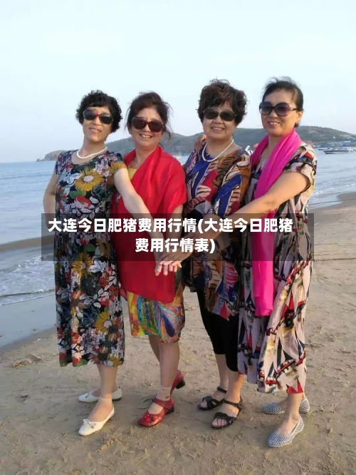 大连今日肥猪费用行情(大连今日肥猪费用行情表)