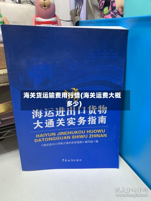 海关货运输费用行情(海关运费大概多少)