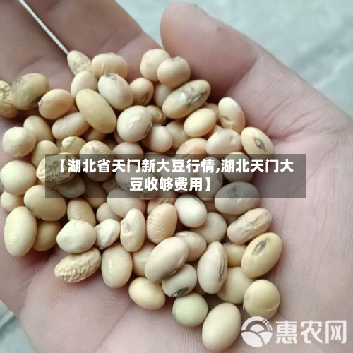 【湖北省天门新大豆行情,湖北天门大豆收够费用】-第2张图片
