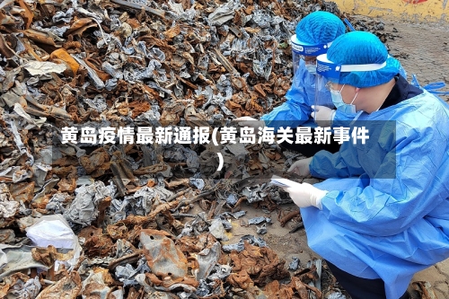 黄岛疫情最新通报(黄岛海关最新事件)-第1张图片