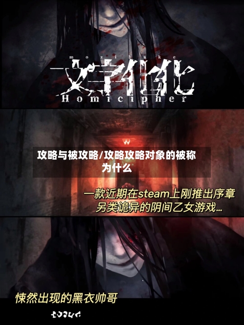 攻略与被攻略/攻略攻略对象的被称为什么-第3张图片
