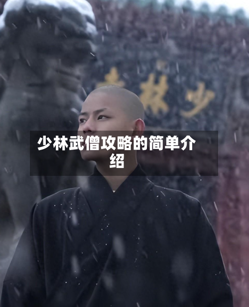少林武僧攻略的简单介绍-第2张图片