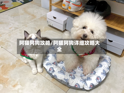 阿猫阿狗攻略/阿猫阿狗详细攻略大全-第3张图片