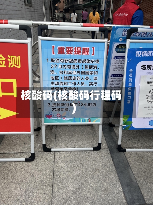 核酸码(核酸码行程码)-第2张图片