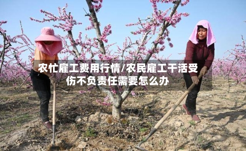 农忙雇工费用行情/农民雇工干活受伤不负责任需要怎么办-第1张图片