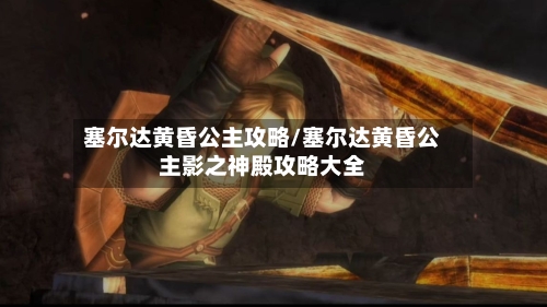 塞尔达黄昏公主攻略/塞尔达黄昏公主影之神殿攻略大全-第2张图片