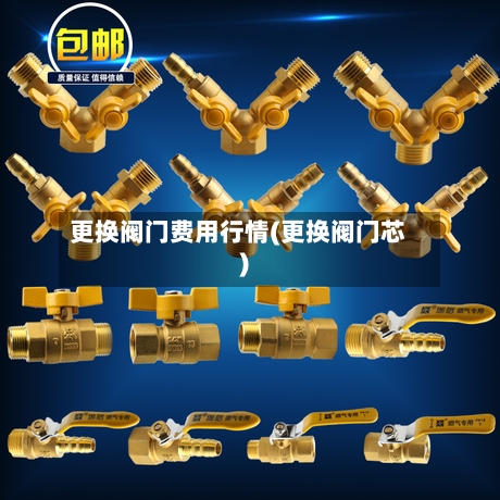 更换阀门费用行情(更换阀门芯)-第3张图片
