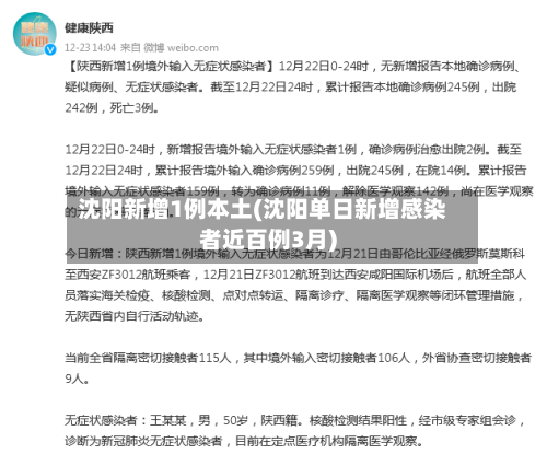 沈阳新增1例本土(沈阳单日新增感染者近百例3月)-第1张图片