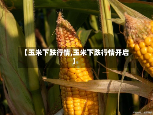 【玉米下跌行情,玉米下跌行情开启】