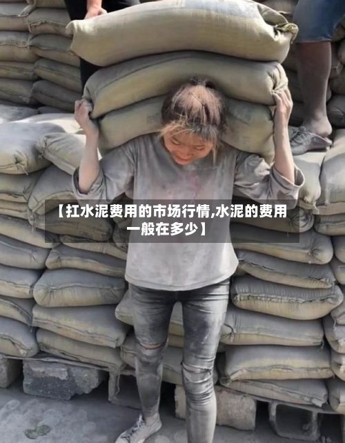【扛水泥费用的市场行情,水泥的费用一般在多少】-第2张图片