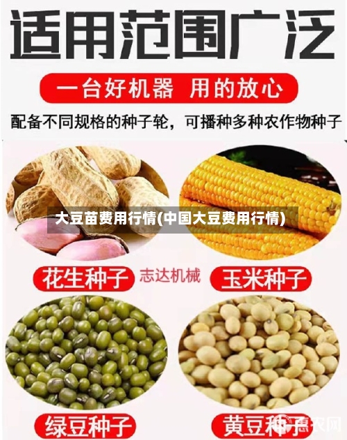 大豆苗费用行情(中国大豆费用行情)
