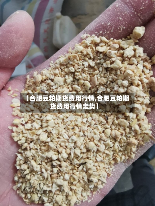 【合肥豆粕期货费用行情,合肥豆粕期货费用行情走势】-第2张图片