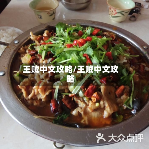 王贼中文攻略/王贼中文攻略-第1张图片