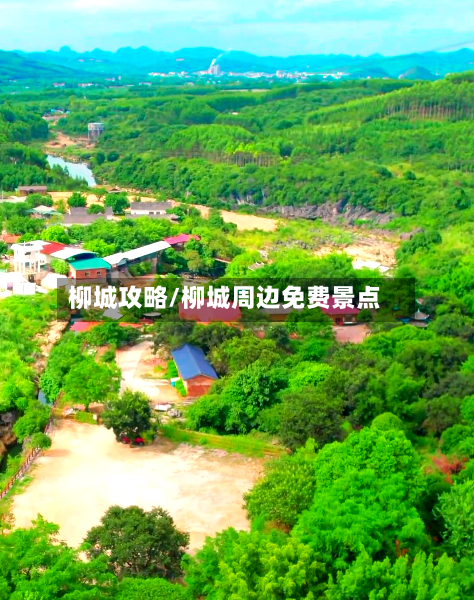 柳城攻略/柳城周边免费景点-第3张图片