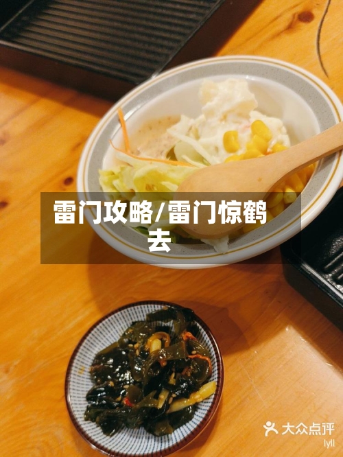雷门攻略/雷门惊鹤去