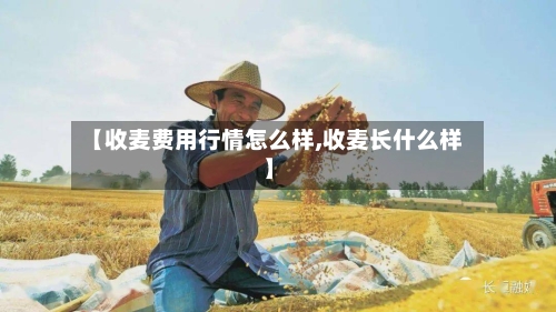 【收麦费用行情怎么样,收麦长什么样】