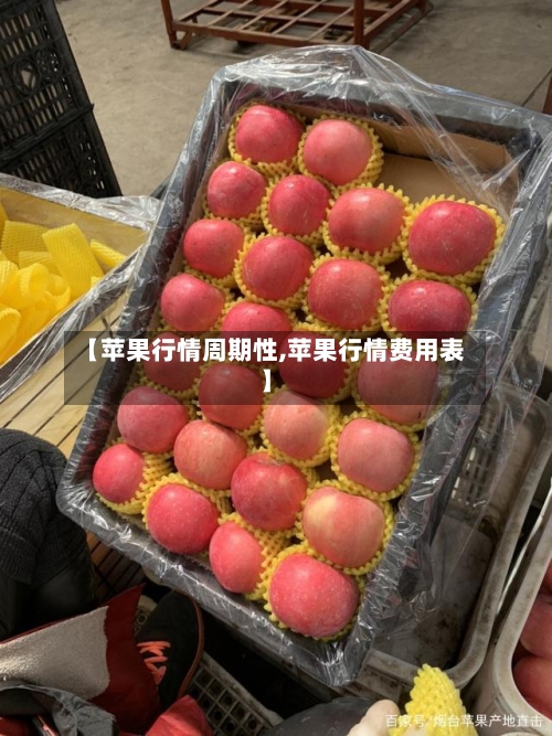 【苹果行情周期性,苹果行情费用表】