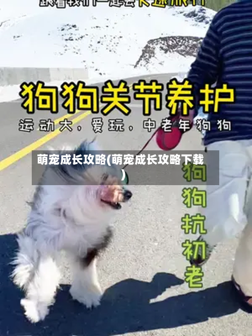 萌宠成长攻略(萌宠成长攻略下载)-第2张图片