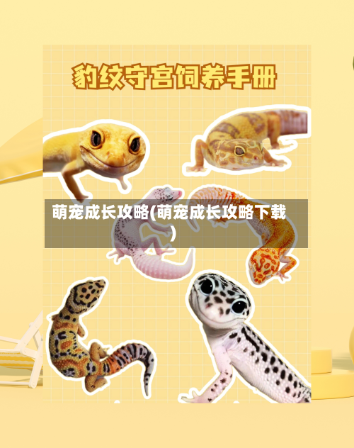 萌宠成长攻略(萌宠成长攻略下载)-第1张图片