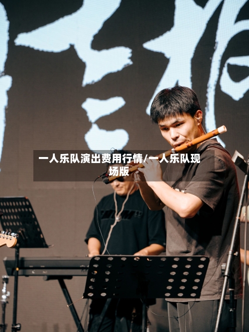 一人乐队演出费用行情/一人乐队现场版-第1张图片