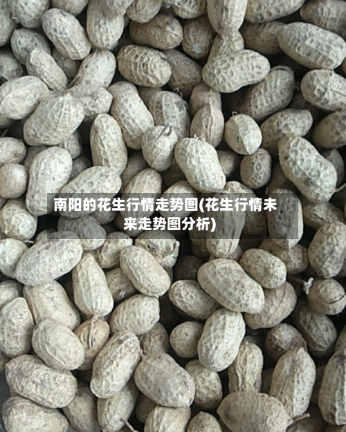 南阳的花生行情走势图(花生行情未来走势图分析)-第1张图片